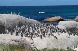 Capetown-04