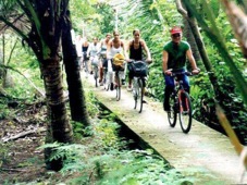 Bangkok Cycling