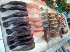 Phuket 01