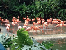 Singapore-03