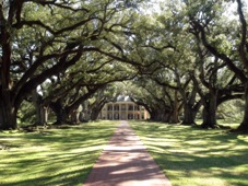 New Orleans Oak Alley
