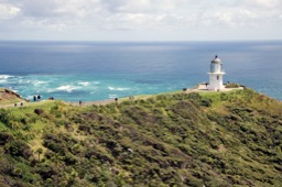 Auckland Cape Reinga