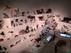 Melbourne Museum