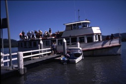 Sydney 04