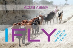 Addis Abeba